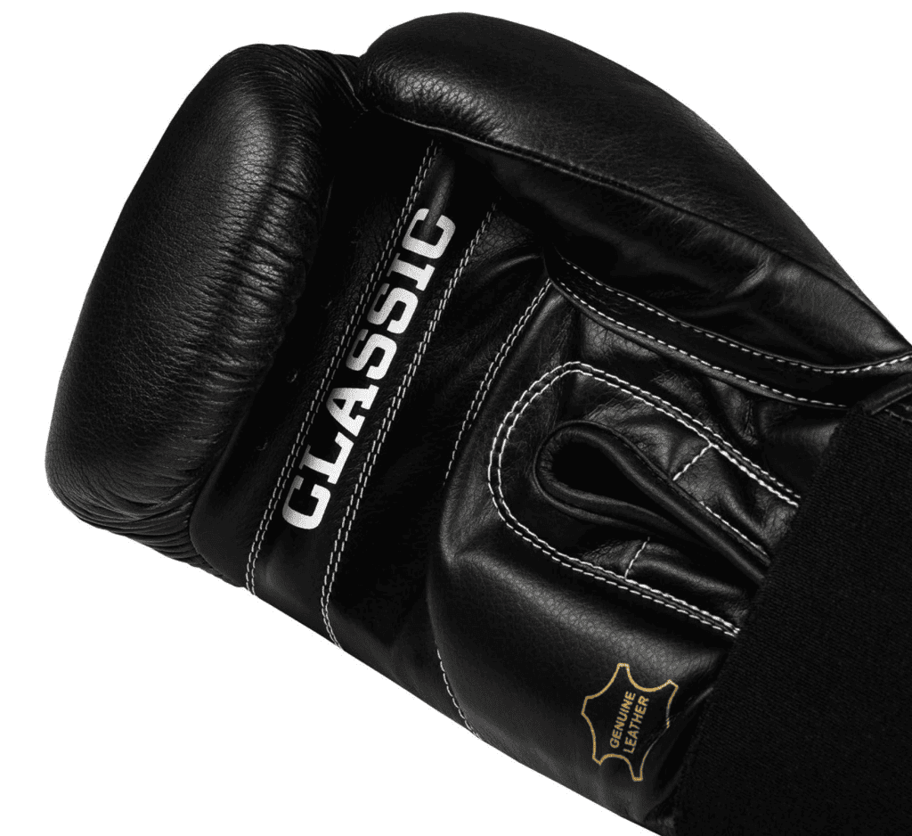 Best Beginner Boxing Gloves