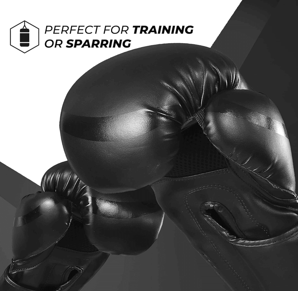 Best Beginner Boxing Gloves