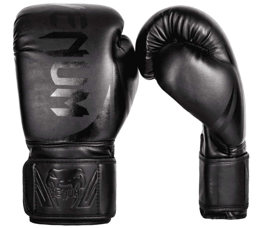 Best Beginner Boxing Gloves
