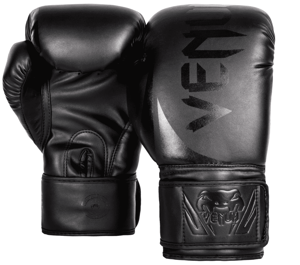 Best Beginner Boxing Gloves