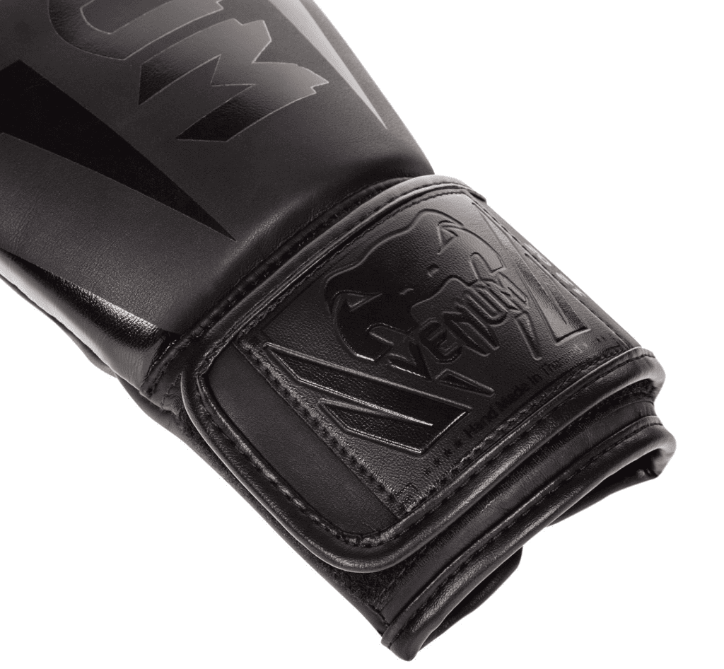 Best Muay Thai Gloves