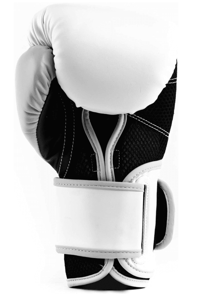 Everlast PowerLock2 Boxing Gloves Review
